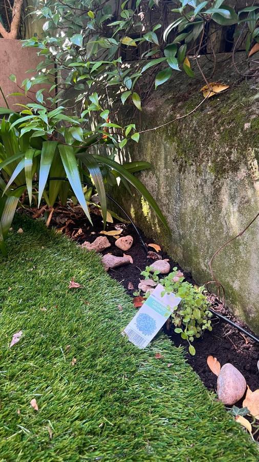 Garden Suite بولزانو المظهر الخارجي الصورة