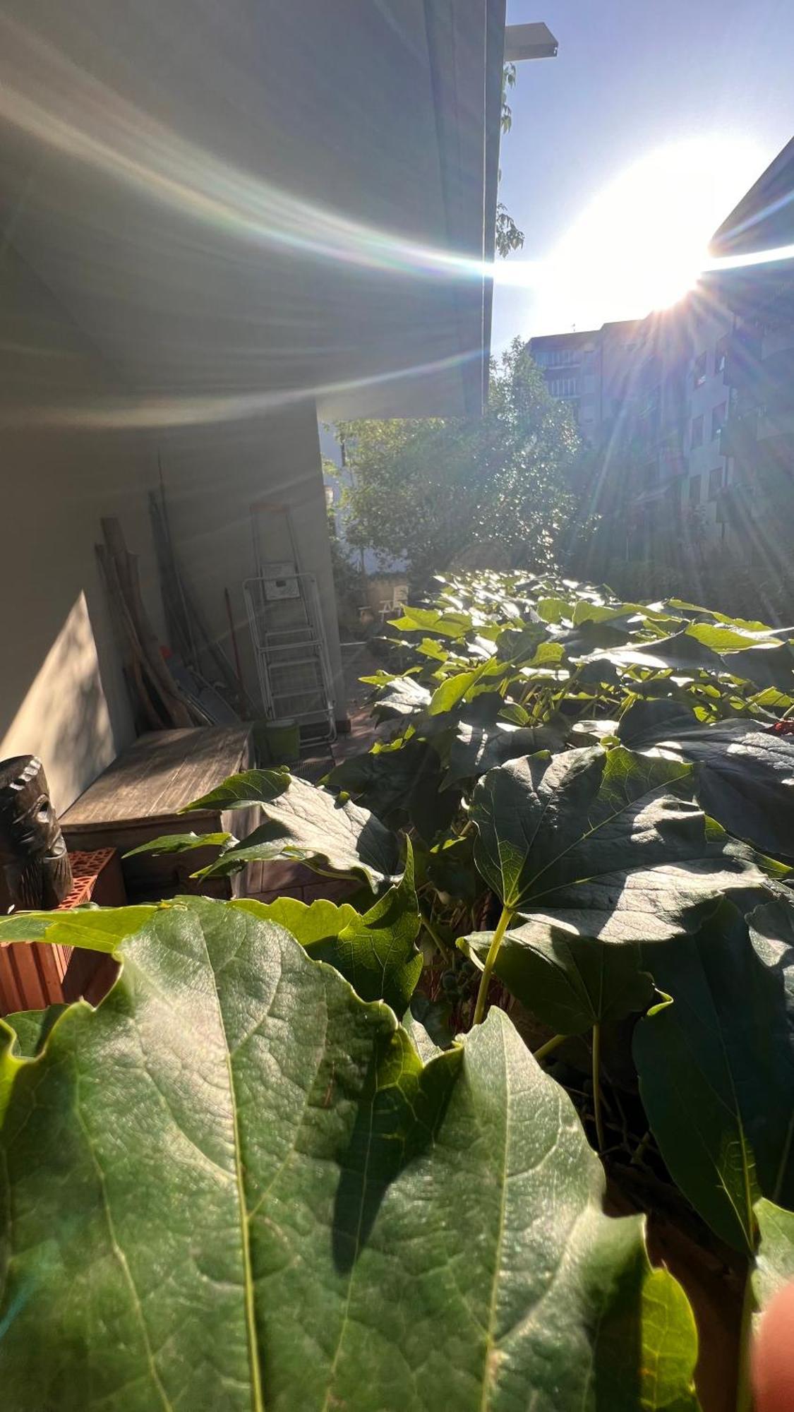 Garden Suite بولزانو المظهر الخارجي الصورة