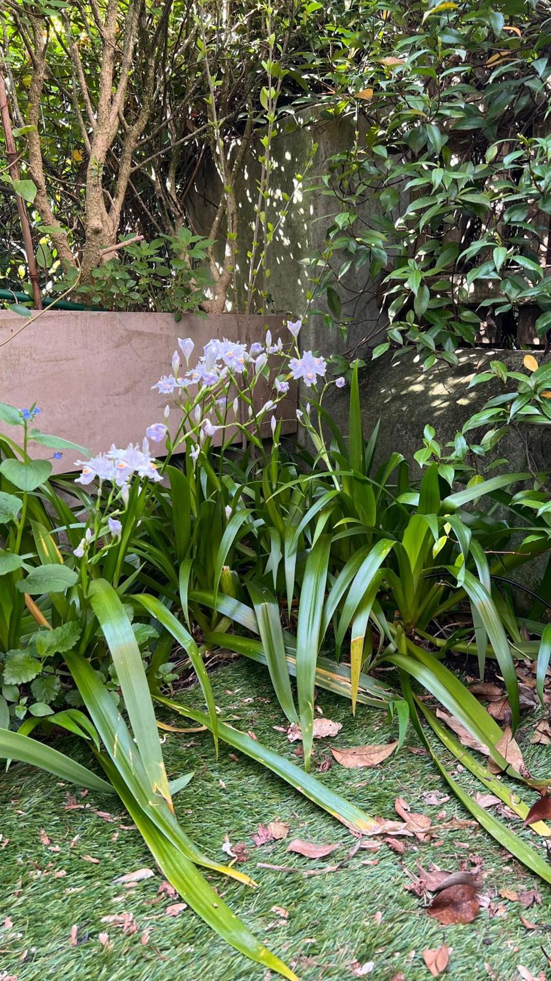 Garden Suite بولزانو المظهر الخارجي الصورة