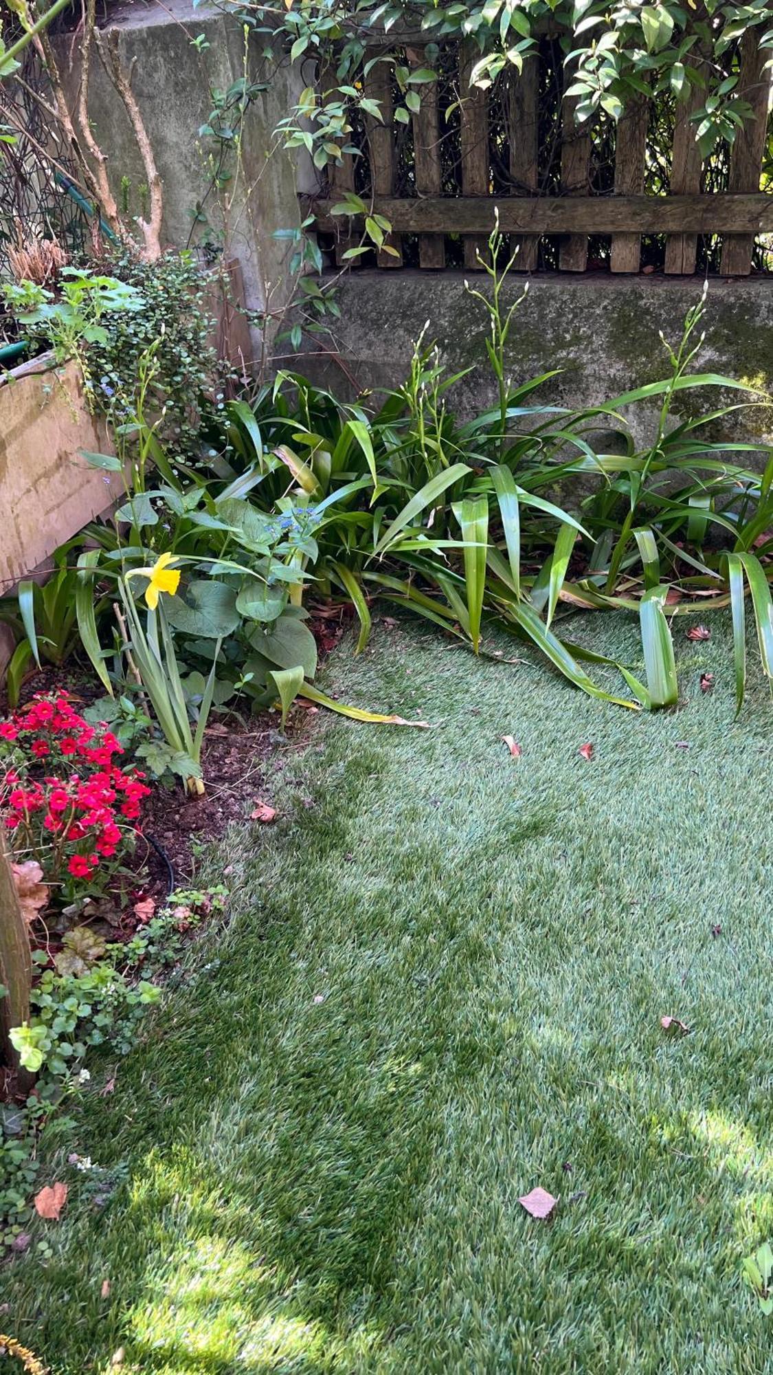 Garden Suite بولزانو المظهر الخارجي الصورة